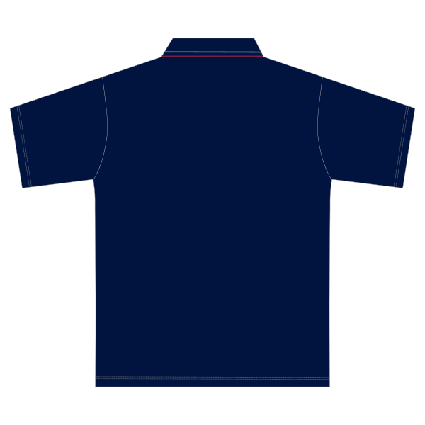 St Martin's Catholic PS | Sport Polo