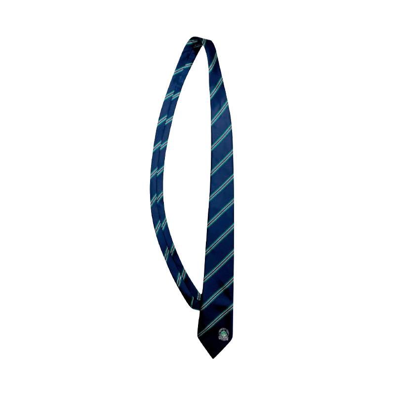 Modbury High School | Tie