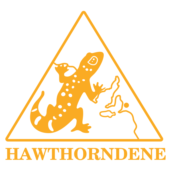 Hawthorndene PS | Iron-On Logo